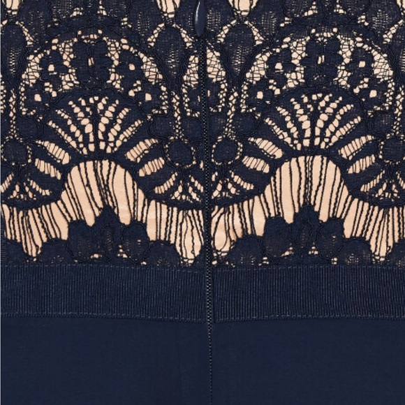 City Chic Sapphire Lace Fit and Flare Midi Dress 18 - Picture 6 of 6